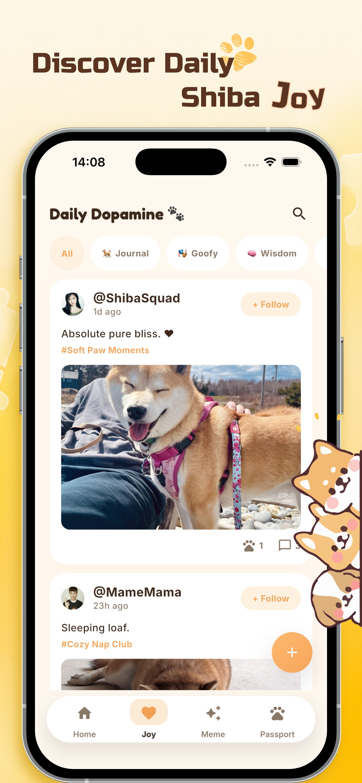 Discover daily Shiba joy